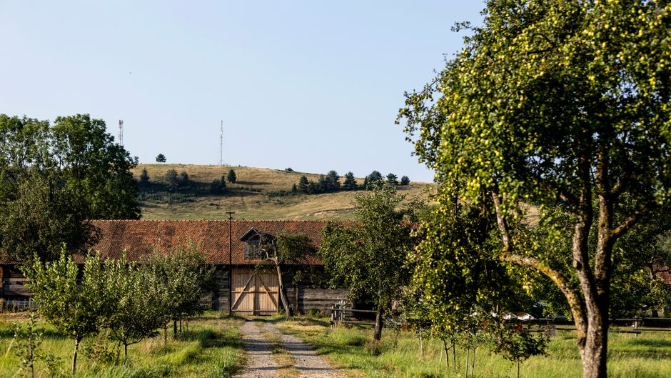 Zabola Estate Exterior