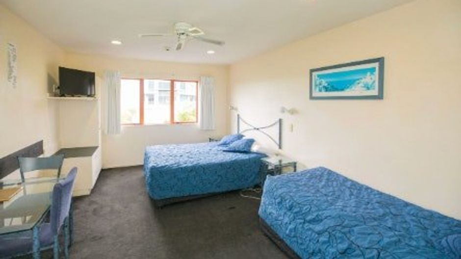 Albany Executive Motor Inn Room