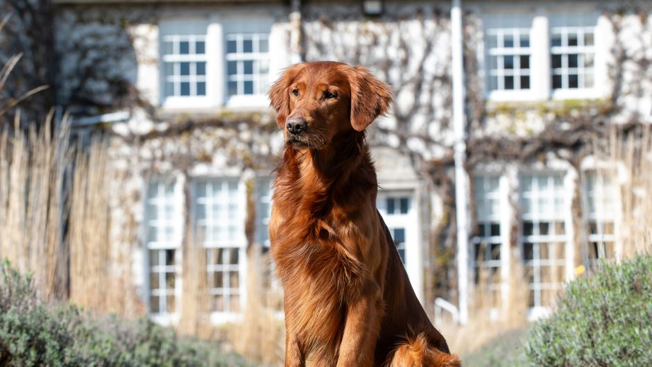 Rufflets Country House Exterior