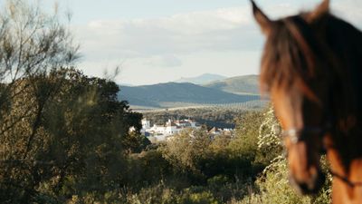 La Bobadilla, a Royal Hideaway Hotel