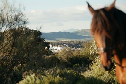 La Bobadilla, a Royal Hideaway Hotel