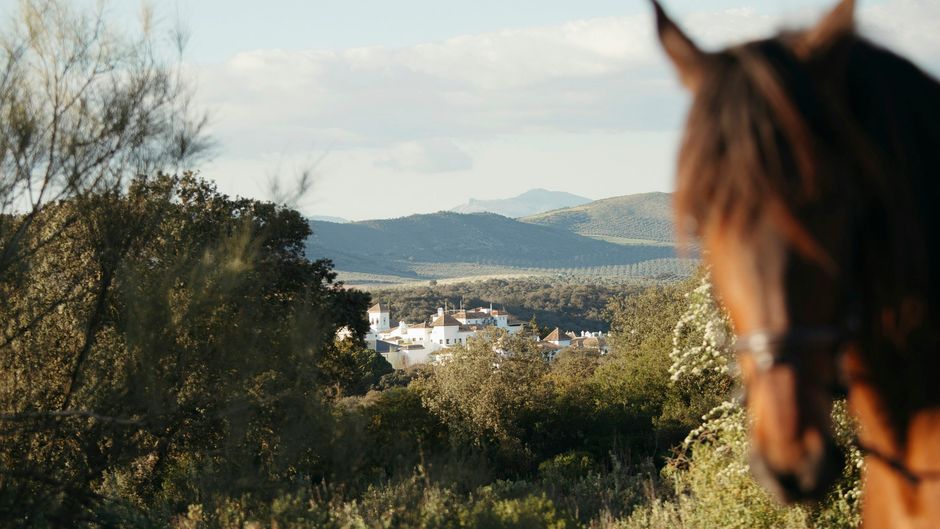 La Bobadilla, a Royal Hideaway Hotel Exterior