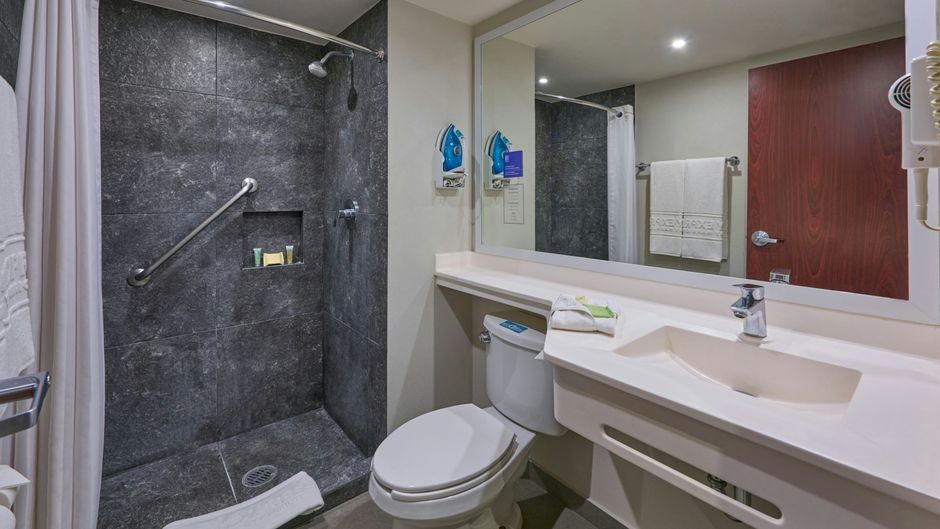 City Express-Marriott Zona Universitaria Room
