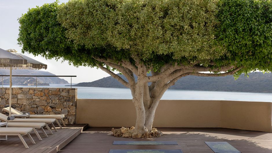 Domes Aulus Elounda Curio Coll by Hilton Pool