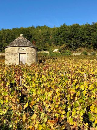 Domaine de Rymska