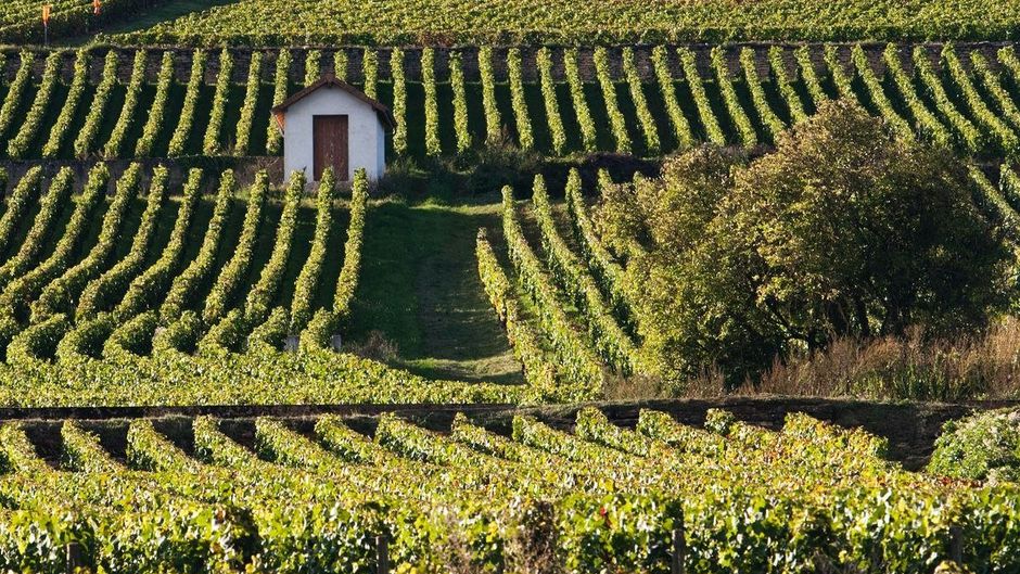 Domaine de Rymska Exterior