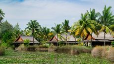 The Sanchaya