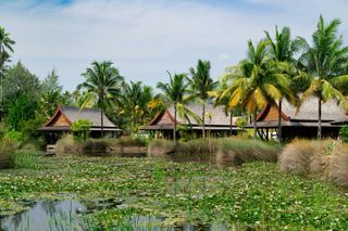The Sanchaya