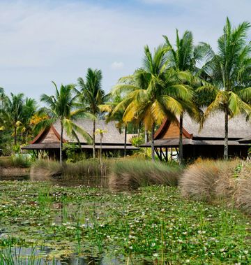 The Sanchaya