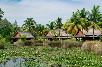 The Sanchaya