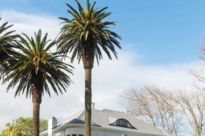 Palm House Boutique Hotel and Spa
