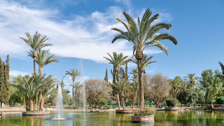 Iberostar Waves Club Palmeraie Marrakech Other