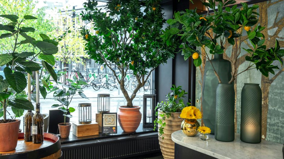 Thon Hotel Rosenkrantz Oslo Restaurant
