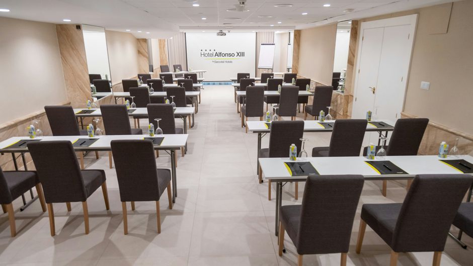Sercotel Alfonso XIII Hotel Meeting