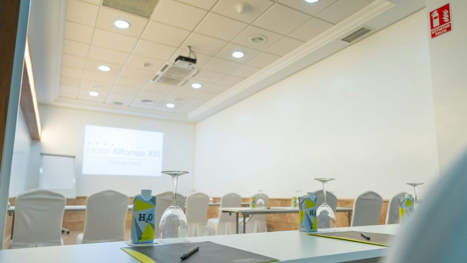 Sercotel Alfonso XIII Hotel Meeting