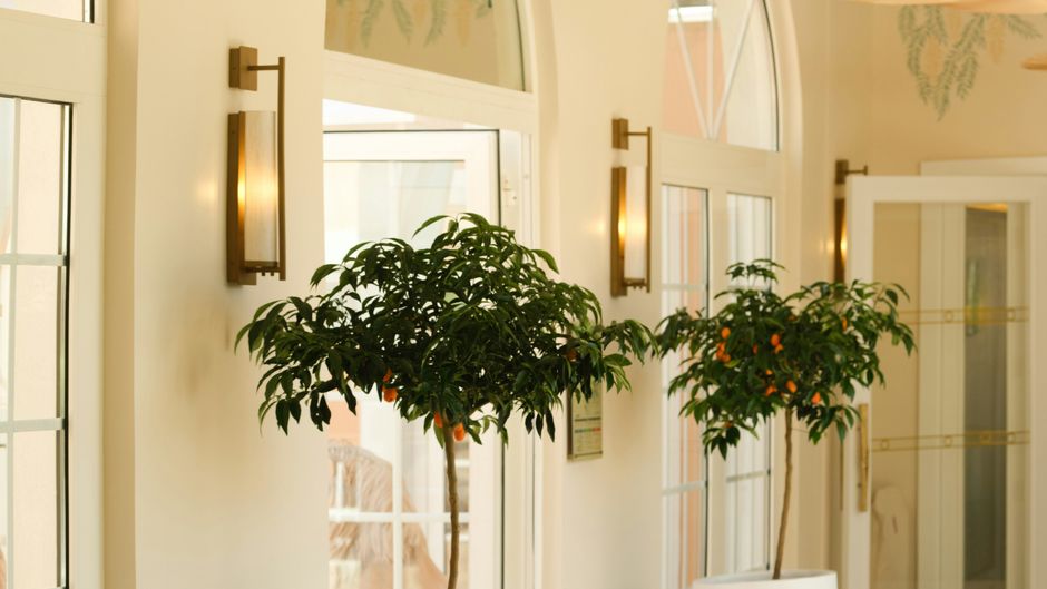 Villa Mirae Lobby