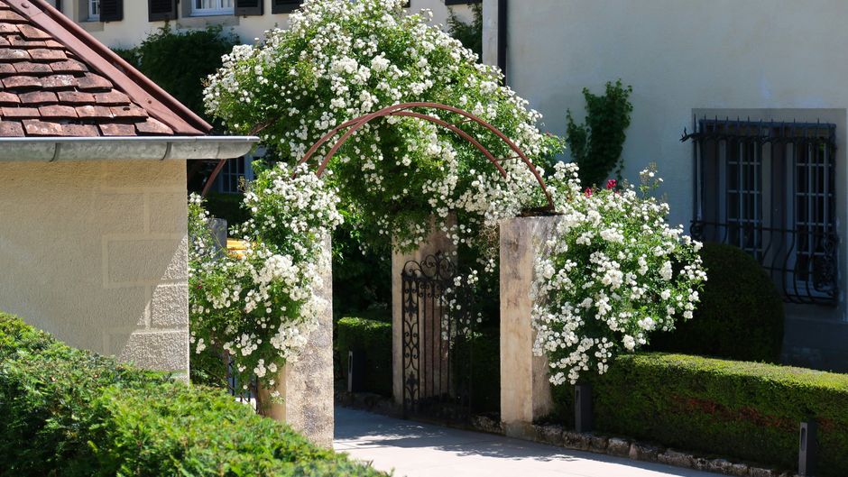 Chateau de Germigney Exterior