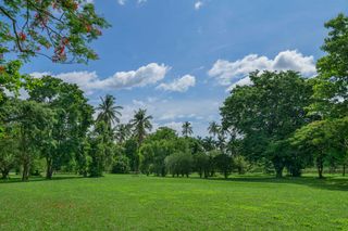 Kahavadi Chiang Rai, Curio Collection