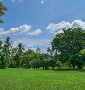 Kahavadi Chiang Rai, Curio Collection