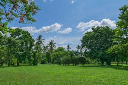 Kahavadi Chiang Rai, Curio Collection