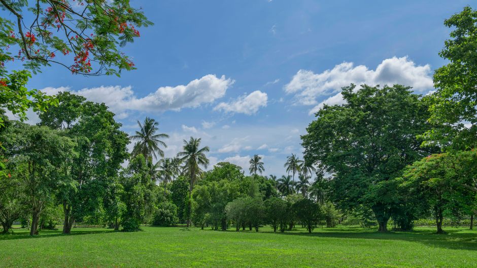 Kahavadi Chiang Rai, Curio Collection Exterior