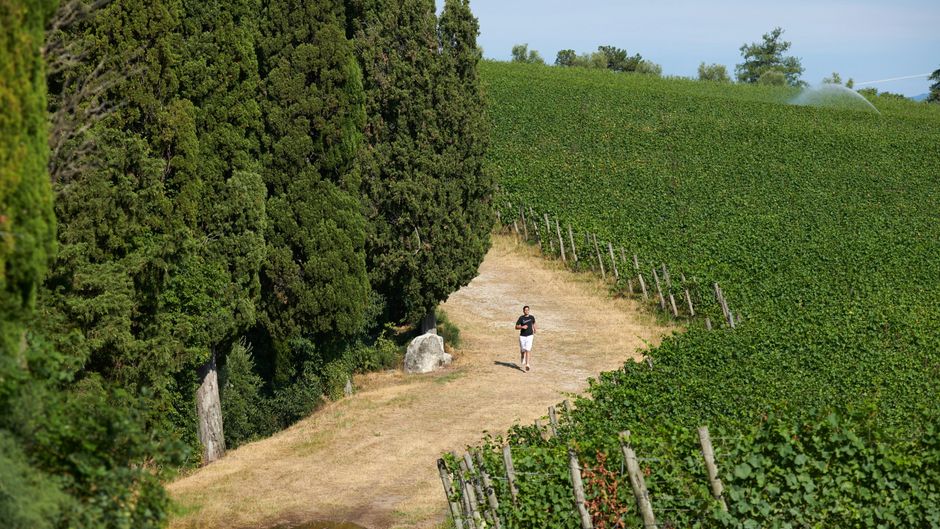 Villa Cordevigo Wine Relais Recreation