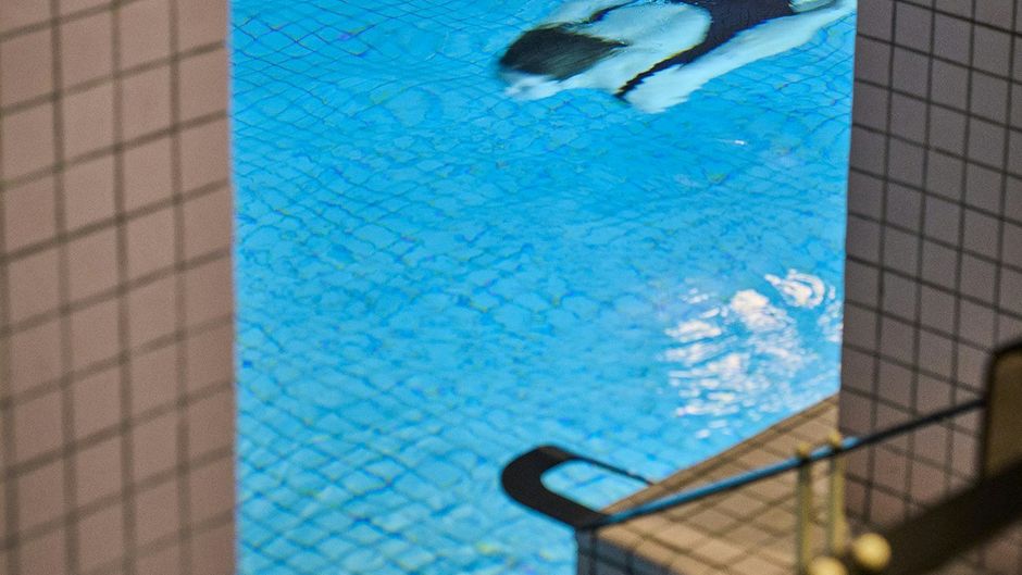 Hotel du Rond-Point des Champs Elysees Pool