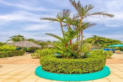 Alma Del Pacifico Beach Hotel & Spa