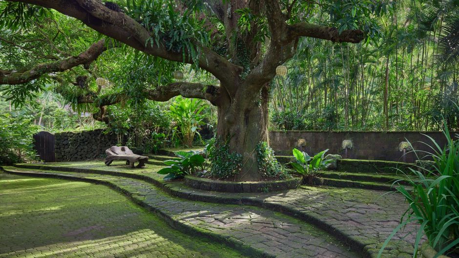 The Farm At San Benito Exterior