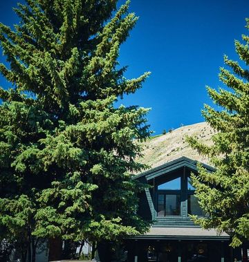 The Alpine House