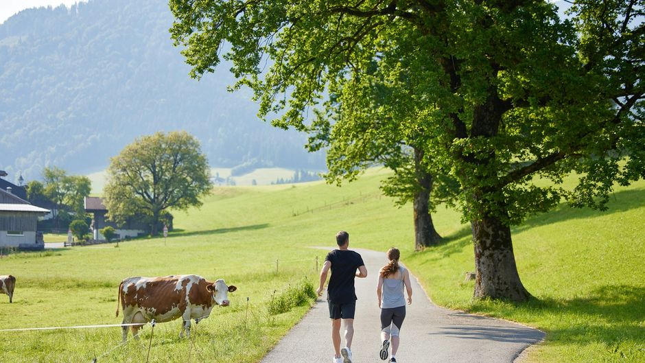 Das Walchsee Sportresort Other
