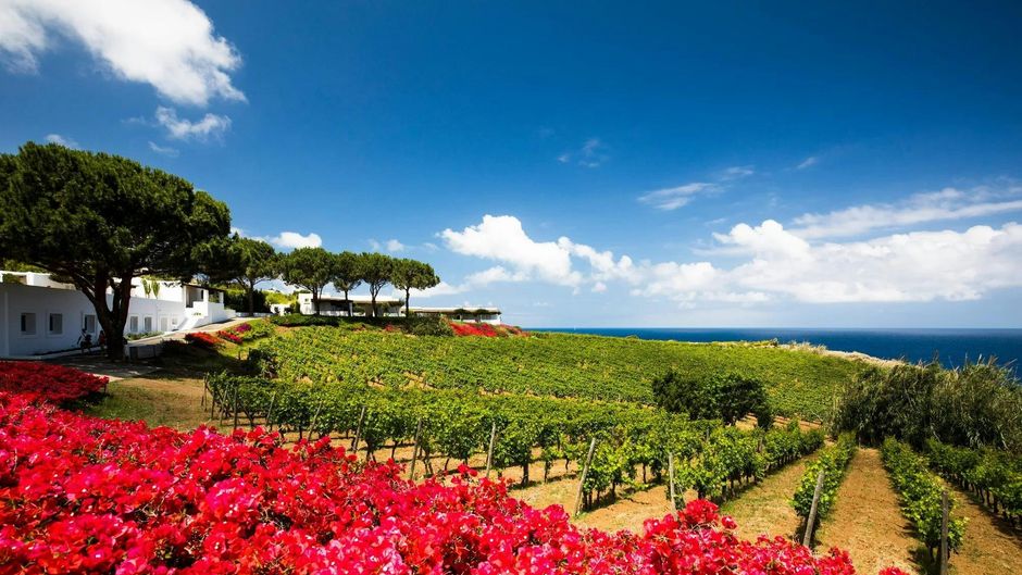 Capofaro Malvasia & Resort Other