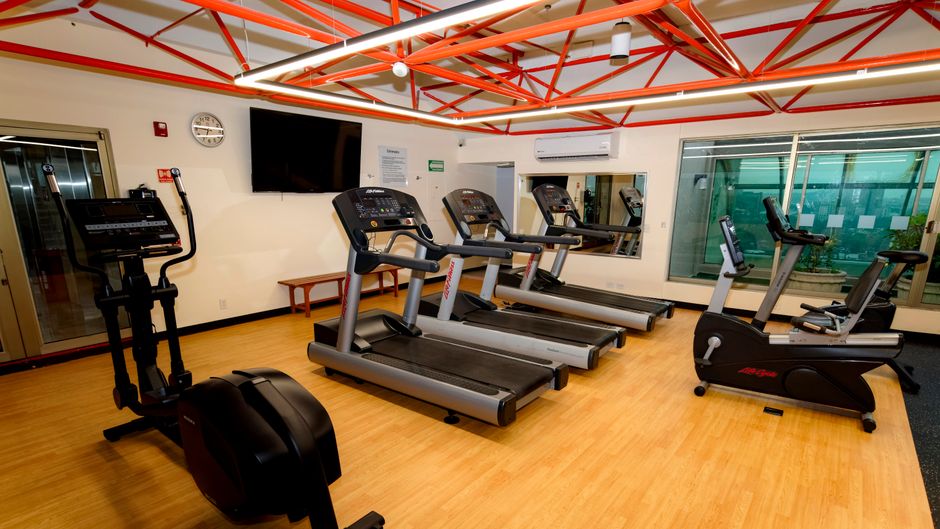 Holiday Inn Guadalajara Select Health Club