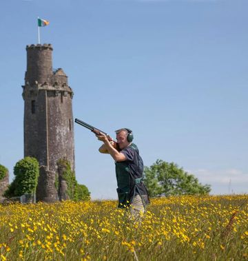 Ballyfin Demesne