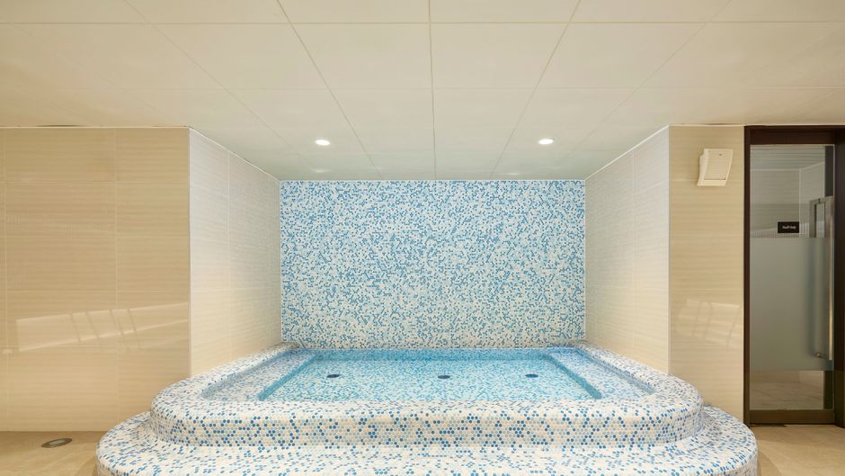 Voco Seoul Myeongdong Pool