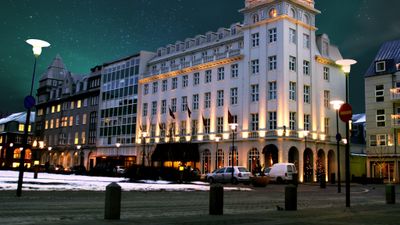 Hotel Borg