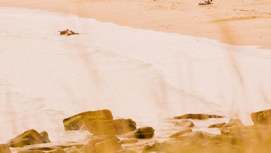 Dornoch Station Beach
