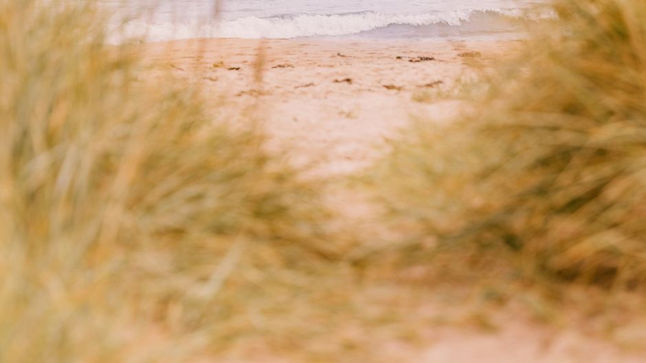 Dornoch Station Beach