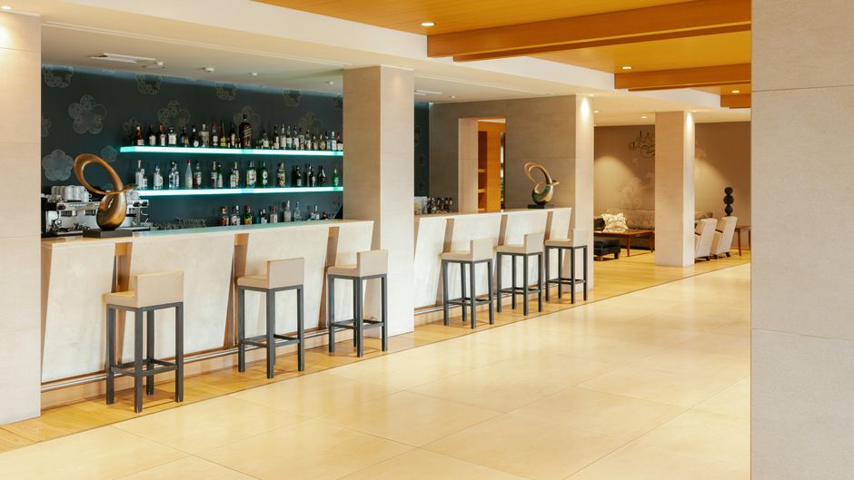 Divani Meteora Hotel Lobby