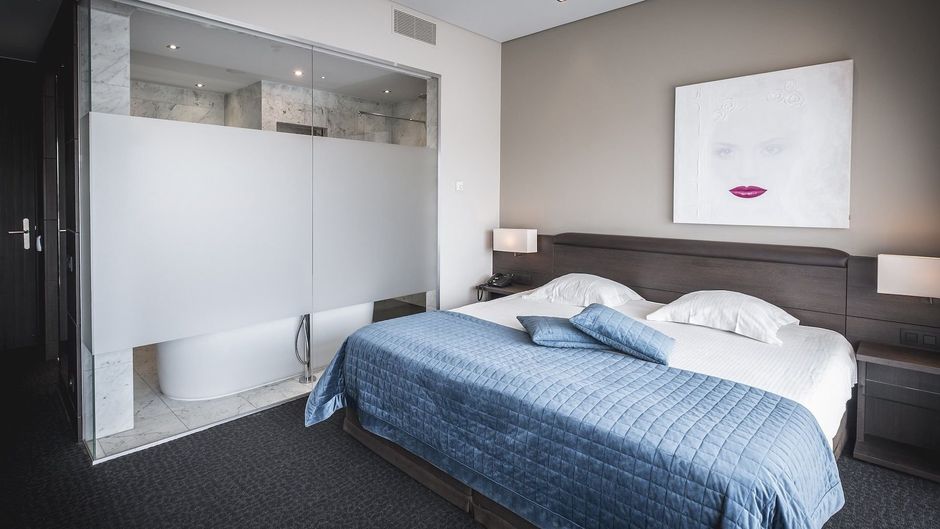 Blue Woods Hotel Room