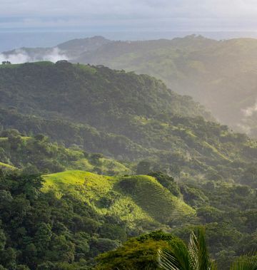 The Retreat Costa Rica