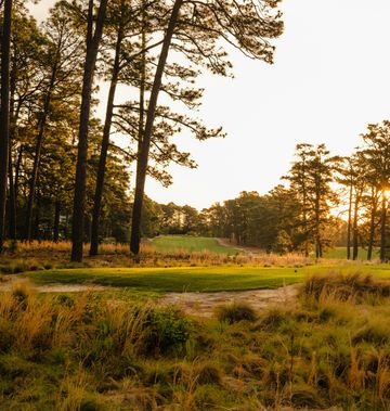 Pine Needles Lodge and Golf Club