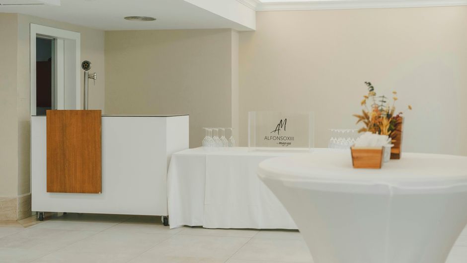 Sercotel Alfonso XIII Hotel Meeting