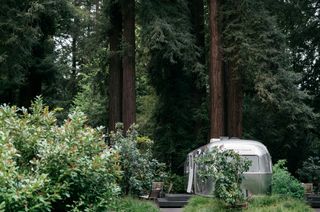 AutoCamp Sonoma