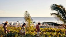 Four Seasons Resort Palm Beach