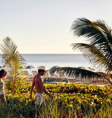 Four Seasons Resort Palm Beach