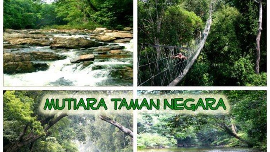 Mutiara Taman Negara Other