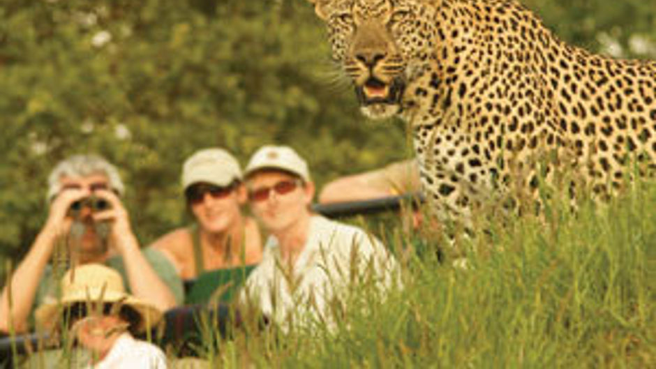 Londolozi Private Game Reserve Other