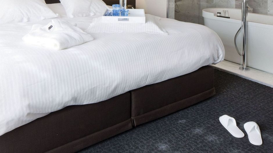 Blue Woods Hotel Room