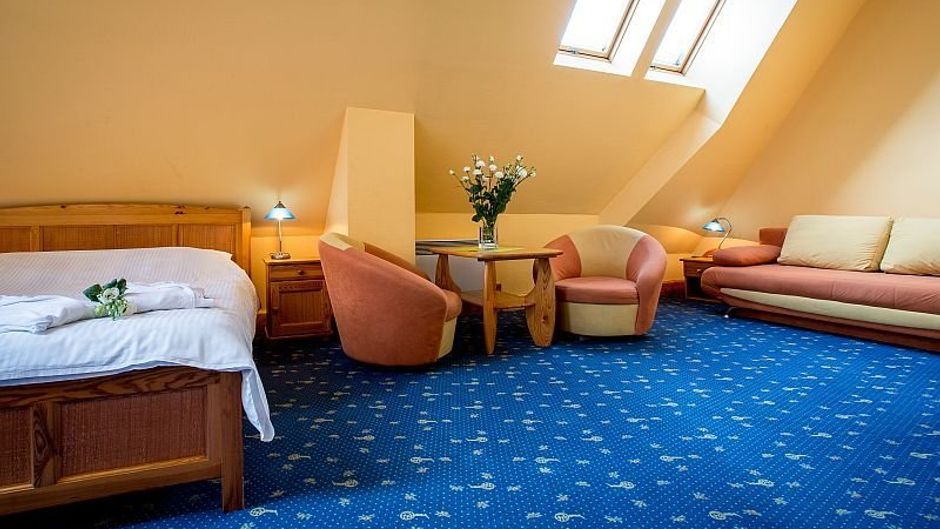 Hotel Skalny Room